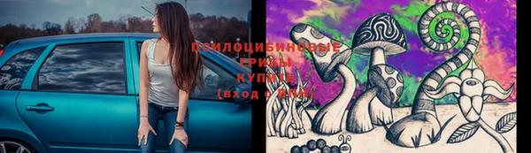 прущие грибы Лихославль