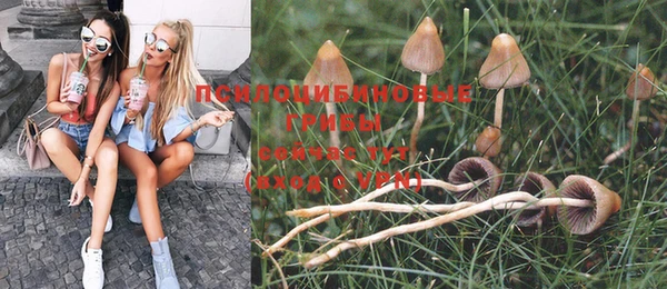 а пвп мука Липки
