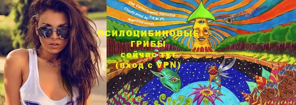 прущие грибы Лихославль