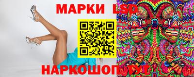 ГАЛЛЮЦИНОГЕННЫЕ ГРИБЫ Кингисепп