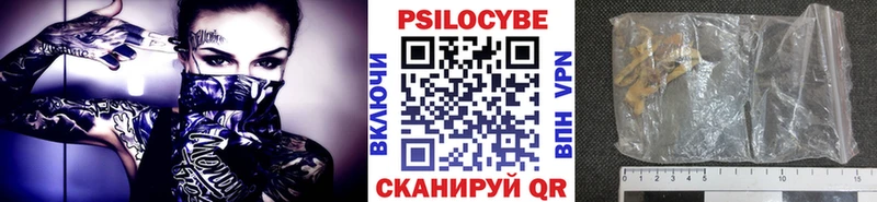 Галлюциногенные грибы Psilocybe  blacksprut сайт  Назарово  где купить наркоту 