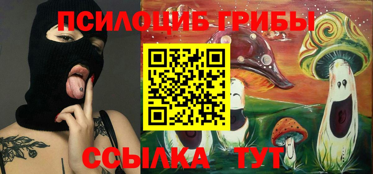 Назарово  Галлюциногенные грибы Cubensis  Вход с VPN 
