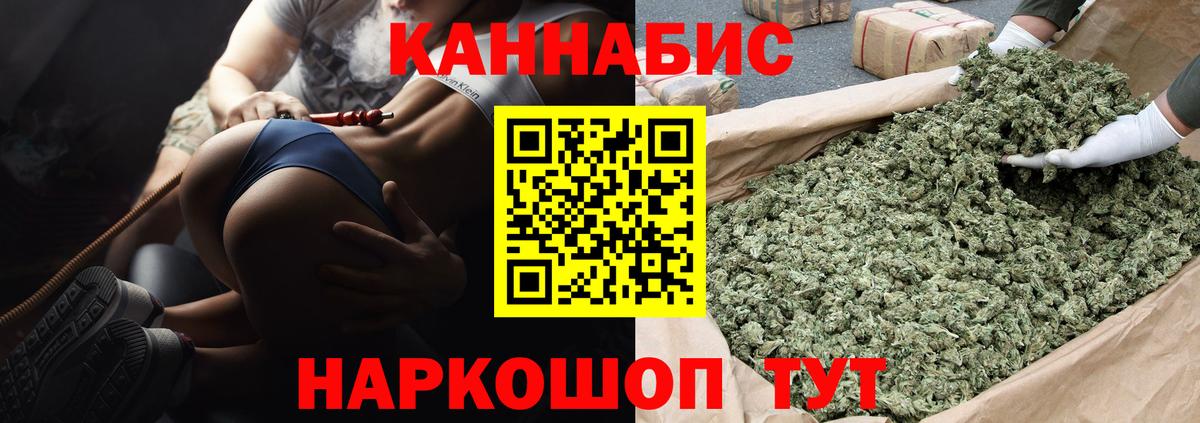 Каннабис сатива  Марихуана семена  Канабис сатива  Назарово 