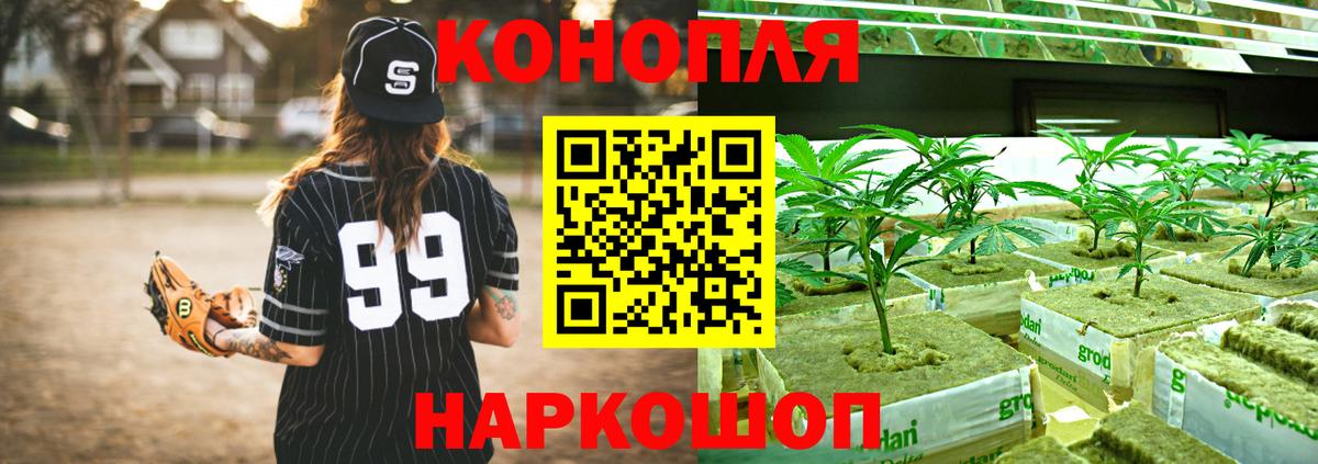 Назарово  Шишки марихуана планчик  Вход с VPN  Бошки марихуана план  Бошки Шишки гибрид 